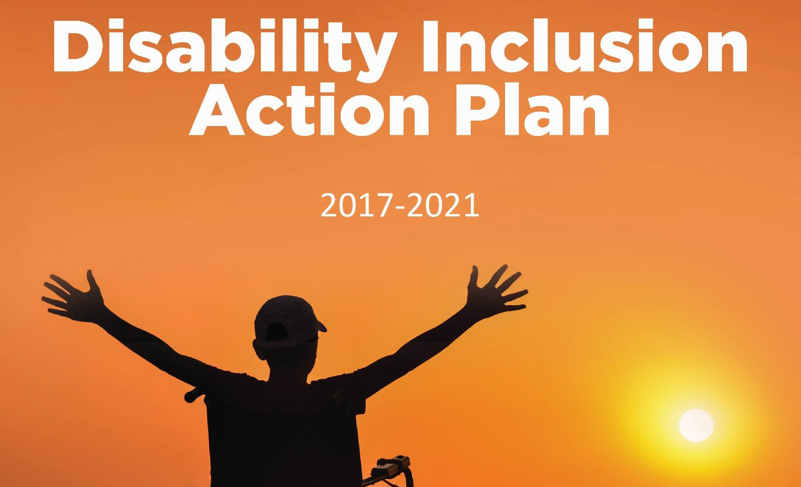 Disability Inclusion Action Plan - Cabonne Council