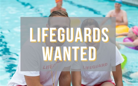 Casual Lifeguards Needed - Cabonne Council