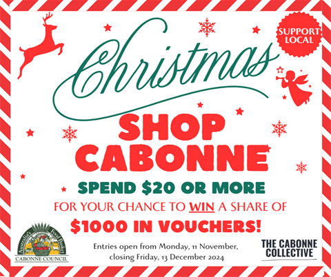 FACEBOOK POST - Shop Cabonne This Christmas (Facebook Post).png