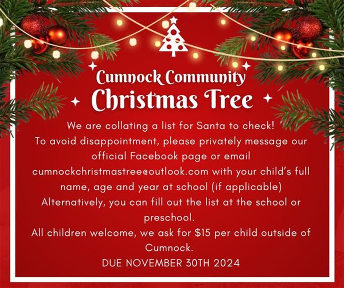 Cumnock Community Christmas Tree.jpg