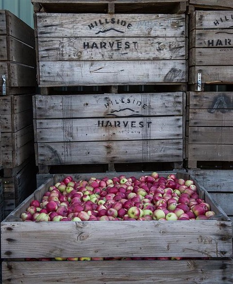 Hillside-harvest-apple-boxes.jpg